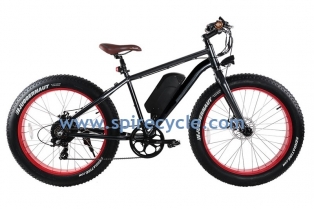 E-Bike