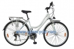 PC-28021W-mountain bike